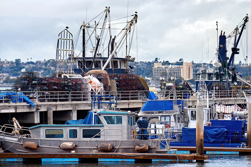 Bateau de pêche